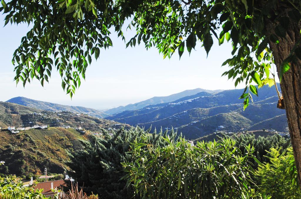 Villa Andalucia Cómpeta Εξωτερικό φωτογραφία
