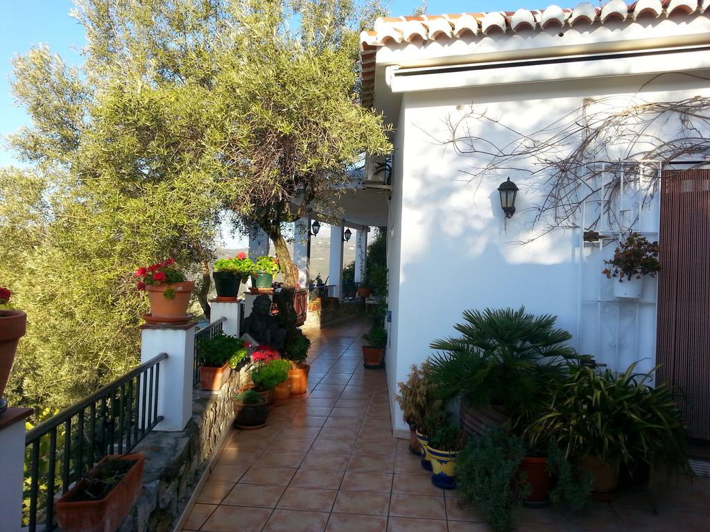 Villa Andalucia Cómpeta Δωμάτιο φωτογραφία